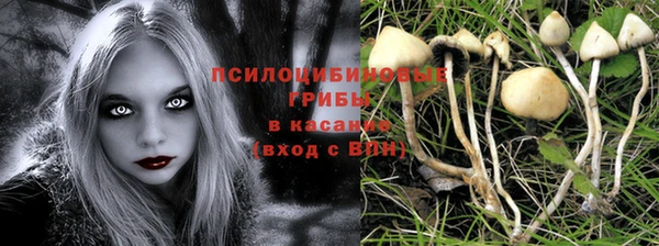 дживик Зерноград