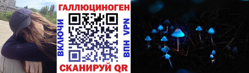 Купить  Новомичуринск  Псилоцибиновые грибы ЛСД 